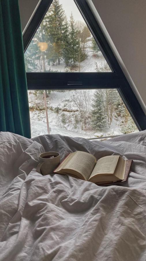 Cabana Green Hill Borşa Eksteriør billede