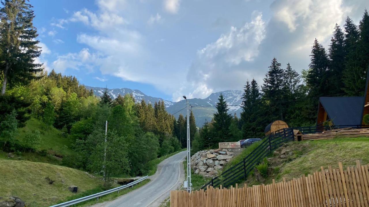Cabana Green Hill Borşa Eksteriør billede